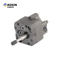 Wholesaler engine spare parts Gear pump 3034219